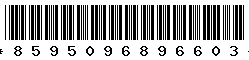 8595096896603 8595096896603