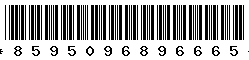 8595096896665 8595096896665