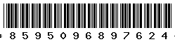 8595096897624 8595096897624