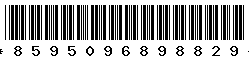 8595096898829 8595096898829