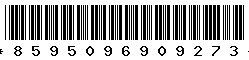8595096909273 8595096909273