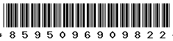 8595096909822 8595096909822