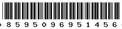 8595096951456 8595096951456