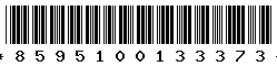 8595100133373