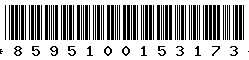 8595100153173 8595100153173