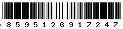8595126917247