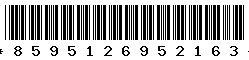 8595126952163 8595126952163