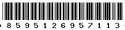 8595126957113 8595126957113