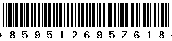 8595126957618