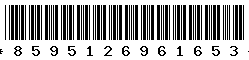 8595126961653