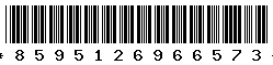 8595126966573