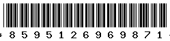 8595126969871