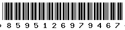 8595126979467 8595126979467