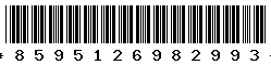 8595126982993 8595126982993