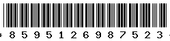 8595126987523 8595126987523