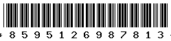 8595126987813 8595126987813