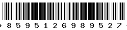 8595126989527 8595126989527