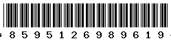 8595126989619 8595126989619