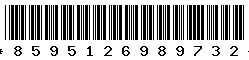 8595126989732 8595126989732