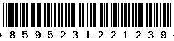 8595231221239