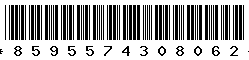 8595574308062