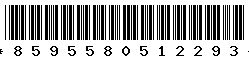 8595580512293