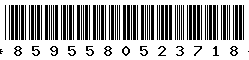 8595580523718 8595580523718