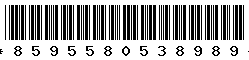 8595580538989
