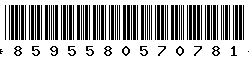 8595580570781
