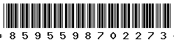 8595598702273 8595598702273