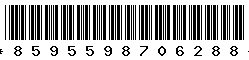 8595598706288 8595598706288
