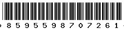 8595598707261 8595598707261