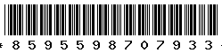 8595598707933 8595598707933