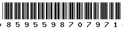 8595598707971 8595598707971