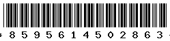 8595614502863 8595614502863