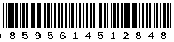 8595614512848