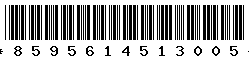 8595614513005 8595614513005