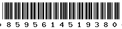 8595614519380