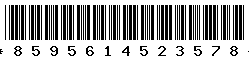 8595614523578 8595614523578