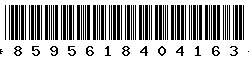 8595618404163 8595618404163