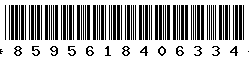 8595618406334