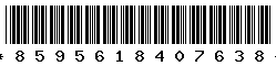 8595618407638 8595618407638