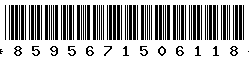 8595671506118 8595671506118