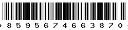 8595674663870