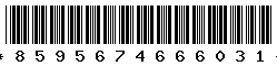 8595674666031 8595674666031