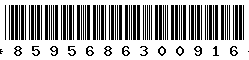 8595686300916