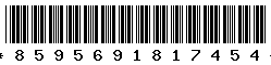 8595691817454