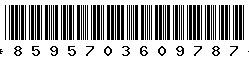 8595703609787 8595703609787