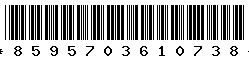 8595703610738 8595703610738