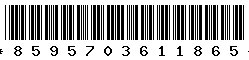8595703611865 8595703611865